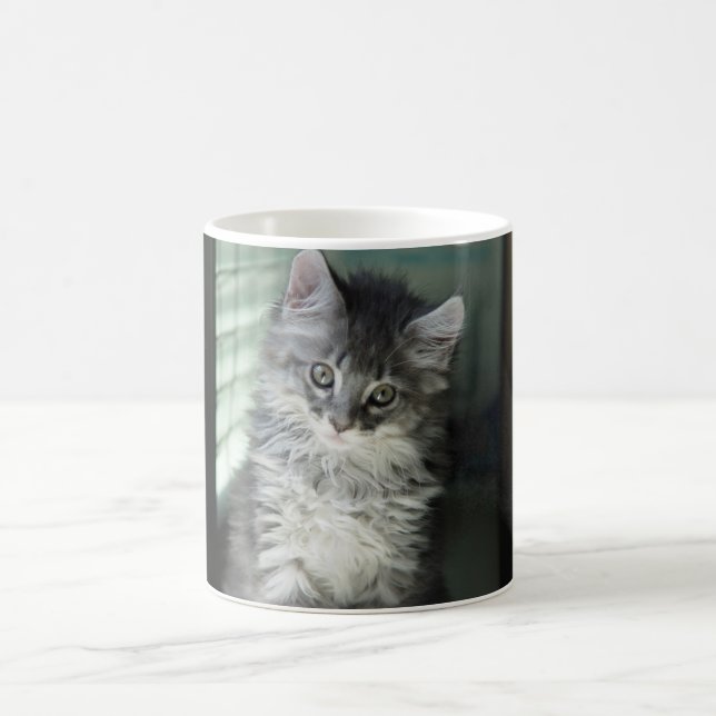 Tasse de chat (Centre)
