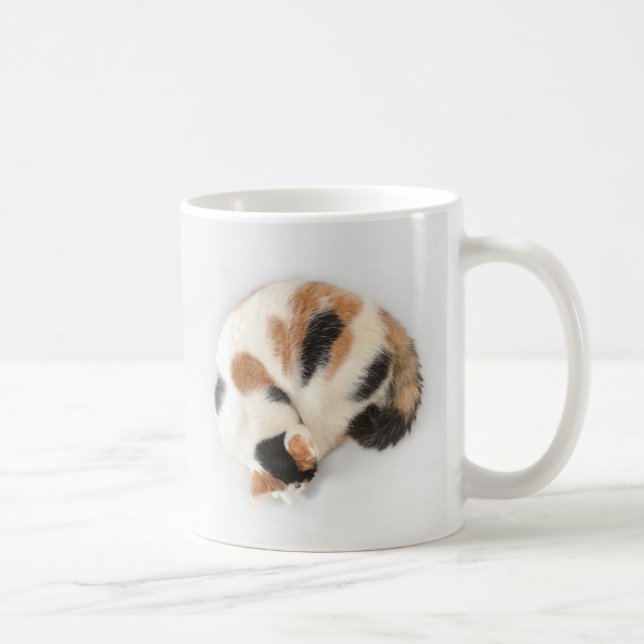 Tasse de chat de calicot de sommeil (Droite)