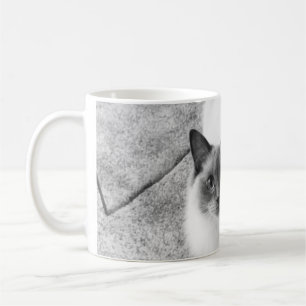 Tasse de chat de Ragdoll