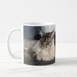 Tasse de chat de ragondin du Maine