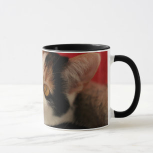 Tasse de chat - la meilleure maman du chat du