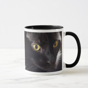 Tasse de chat noir