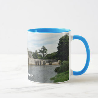 Tasse de château de Desmond