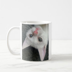 Tasse de chaton, Tasse drôle