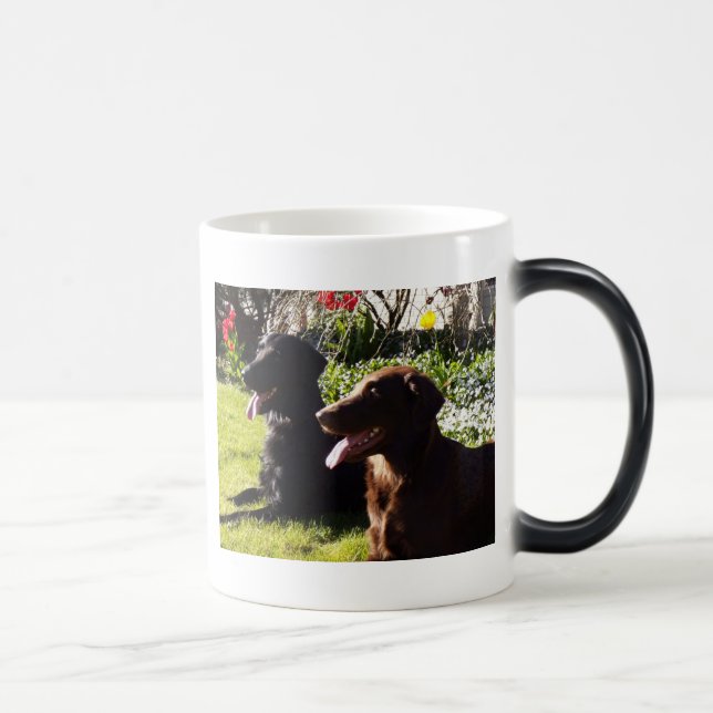 Tasse de chien d'arrêt de Flatcoated (Droite)