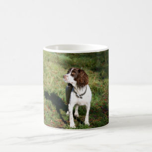 Tasse de chien de springer spaniel