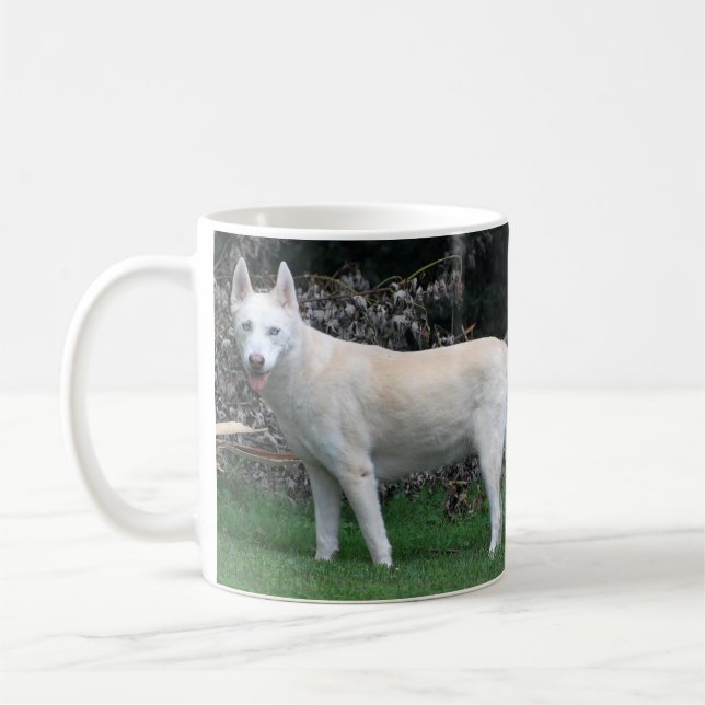 Tasse de chien de traîneau sibérien (Gauche)