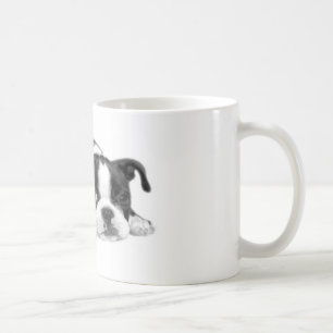 Tasse de chiot de Boston Terrier