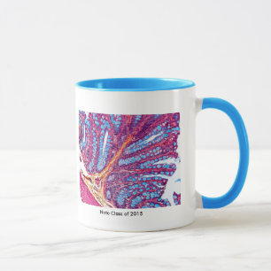 tasse de classe de histo