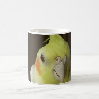 Tasse de Cockatiel