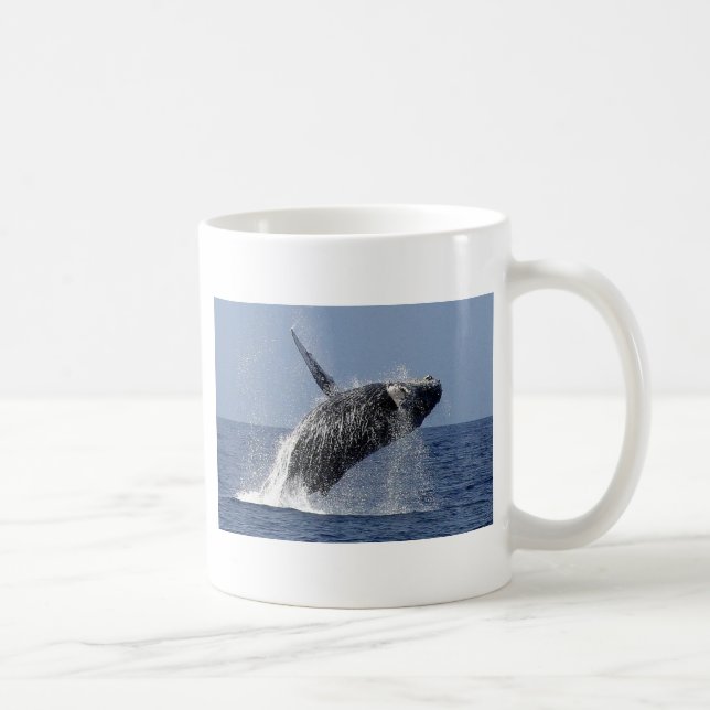 Tasse de Coofee de baleine de bosse (Droite)