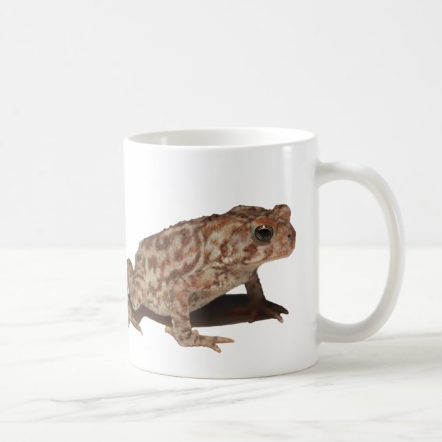 Tasse de crapaud américain (Droite)