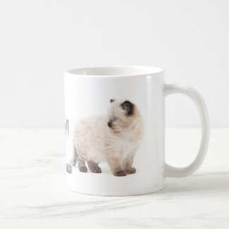 Tasse de croquis de chaton de Ragdoll