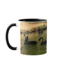 Tasse de cygne noir