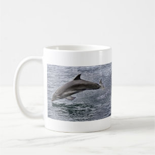 Tasse de dauphin