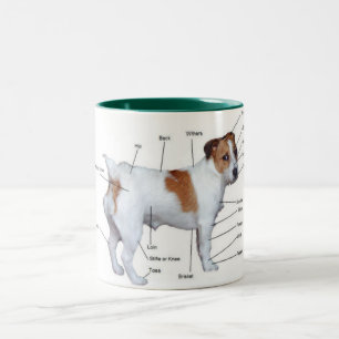 Tasse de diagramme de Jack Russel