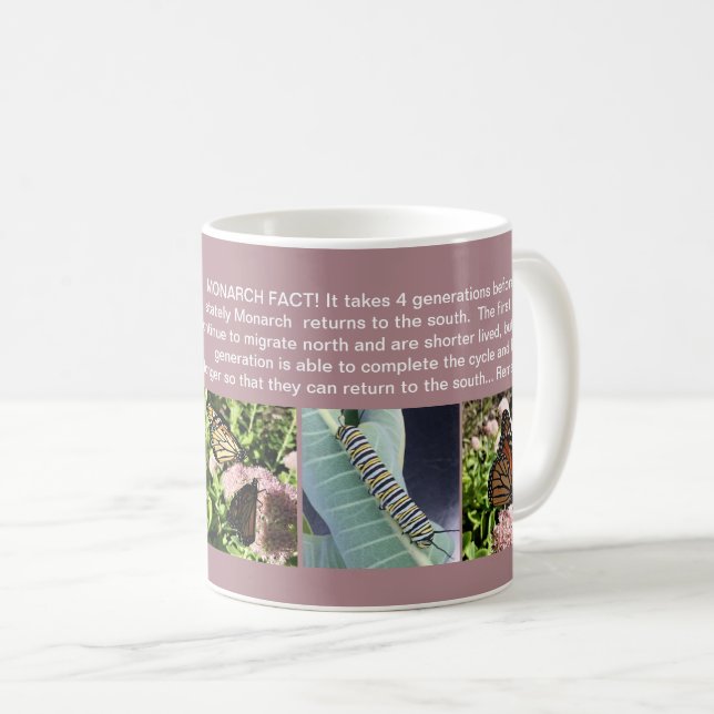 TASSE DE FAIT DE PAPILLON DE MONARQUE (Devant droit)