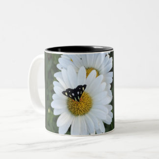 Tasse de fleur de marguerite