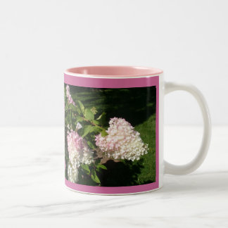 Tasse de fleurs d'hortensia de PAGE