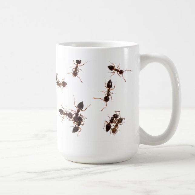Tasse de fourmis d'acrobate (Droite)
