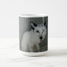 Tasse de Fox - l'Ambassadeur Sophia