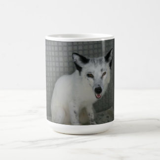 Tasse de Fox - l'Ambassadeur Sophia