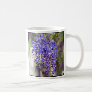 Tasse de glycines