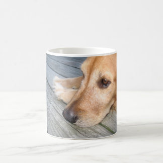 Tasse de golden retriever