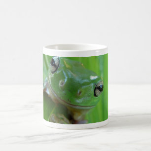 Tasse de grenouille