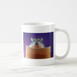 Tasse de hamster de Roborovksi