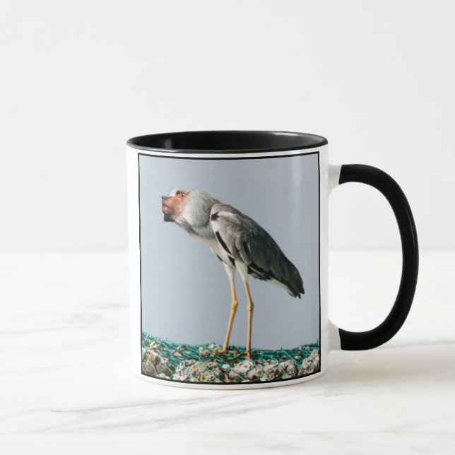 Tasse de Heronboon (Droite)