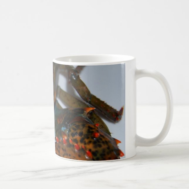 tasse de homard (Droite)