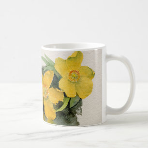 Tasse de Hypericum