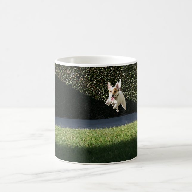 Tasse de Jack Russell de vol (Centre)