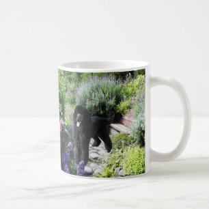 Tasse de jardin de caniche