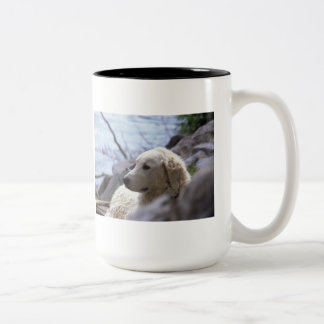 Tasse de "Kuvasz"