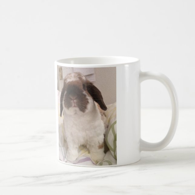 Tasse de la Hollande Lop (Droite)