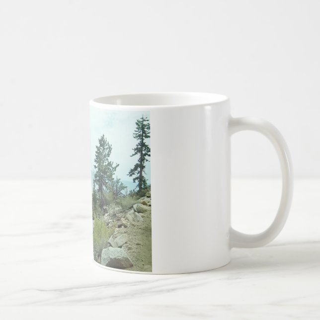 Tasse de la vue #5 de traînée du Mont Whitney - (Droite)