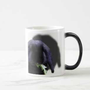 Tasse de lapin