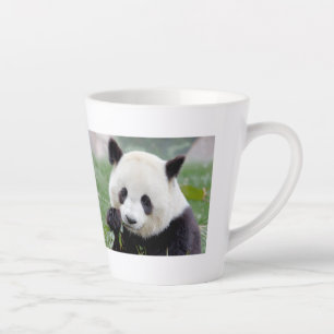 tasse de latte Panda géant, animaux. tôle