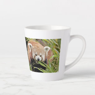 tasse de latte Photo panda rouge, animaux, tasse d