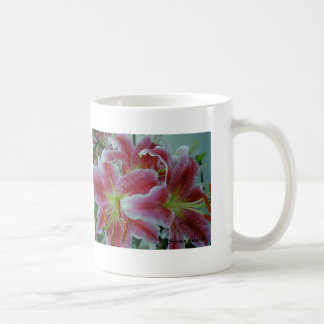 Tasse de lis avec l'information