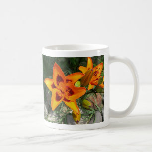 tasse de lis de deux tons