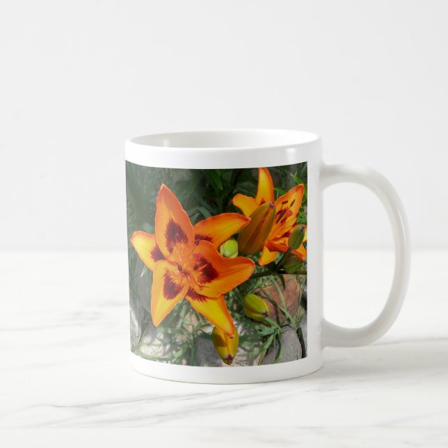 tasse de lis de deux tons (Droite)