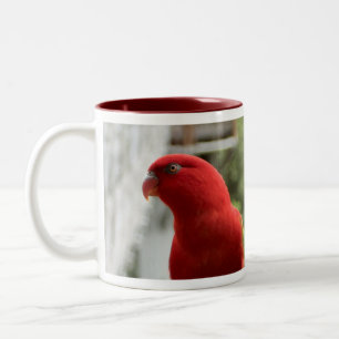 Tasse de Lory