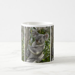 Tasse de l'ours de koala 2