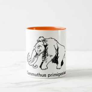 Tasse de mammouth laineux (nom scientifique)