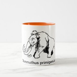 Tasse de mammouth laineux (nom scientifique)