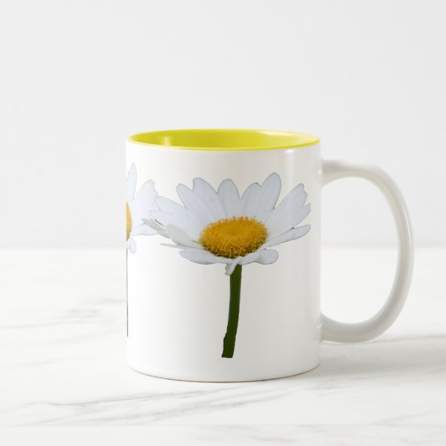 Tasse de marguerite (Droit)
