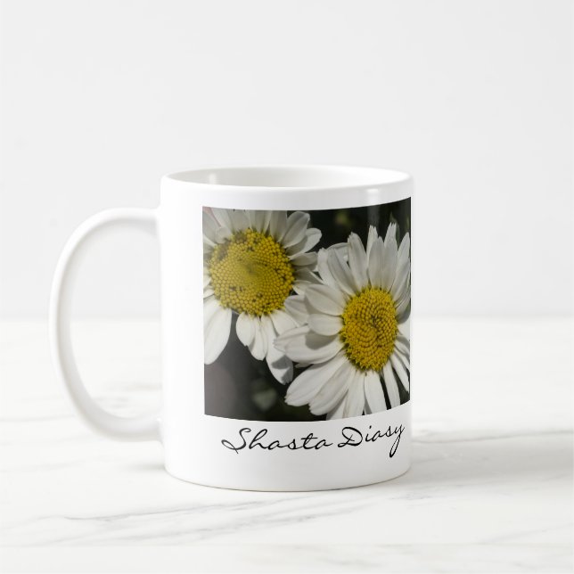 Tasse de marguerites de Shasta (Gauche)